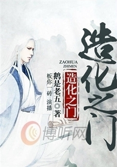 重生之刺客王妃